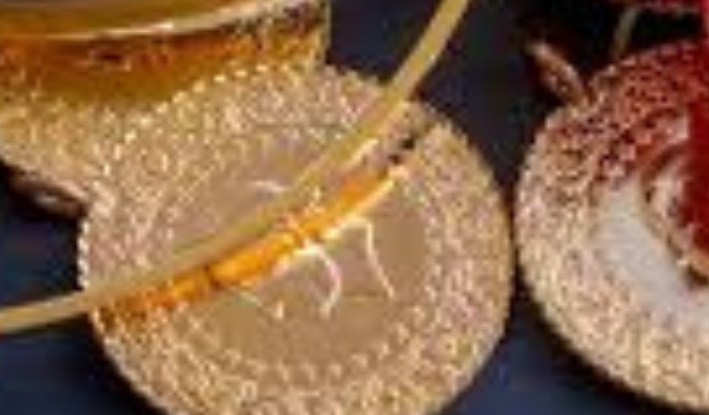 Altın Fiyatlarında Tarihi Zirve! 25 Aralık 2025 Bugün Gram Altın Kaç TL?