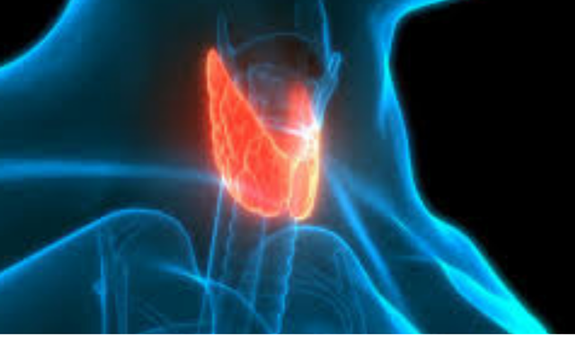 Atom Tedavisi (Radyoaktif İyot) Nedir? Kimlere Uygulanır ve Yan Etkileri Nelerdir?