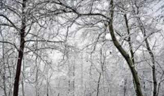 Yarın Okullar Tatil mi? 31 Aralık 2025 İçin Bursa'da ve İstanbul'da  Kar Tatili Açıklaması Geldi mi?