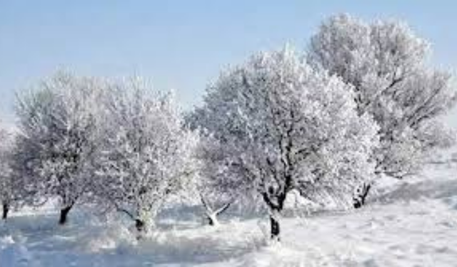 Zemheri Soğukları Kapıda! Tarih Verildi: Tam Kırk Gün Sürecek "Karakış" Geliyor