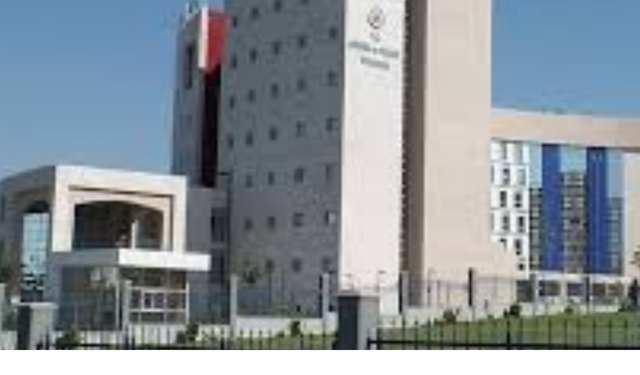 2026 Yurt Dışı Gümrük Vergisi Sınırı Ne Kadar? Yurt Dışından Vergisiz Alışveriş Dönemi Bitti mi? İşte Yeni Kurallar