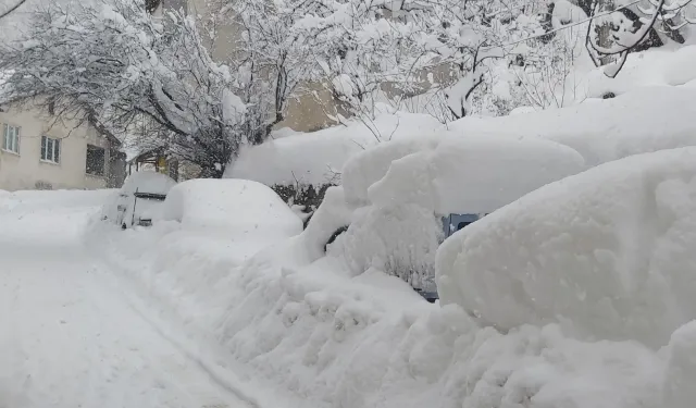 AFAD'dan Doğu ve Batı Karadeniz ile Doğu Anadolu'ya çığ uyarısı!