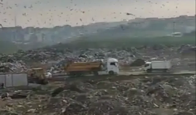 Bursa'daki katı atık alanına 1,8 milyon TL ceza!