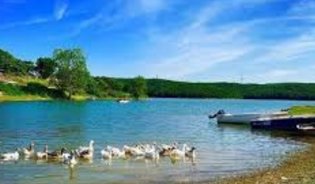 İstanbul Baraj Doluluk Oranları Alarm Veriyor: 11 Ocak İSKİ Güncel Baraj Doluluk Oranı Yüzde Kaç?