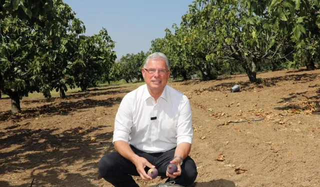 Mudanya Belediyesi'nden taşınmaz açıklaması: Satışa çıkan alanlar köy arazisi değil