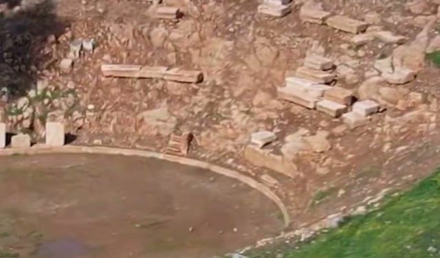 Bursa Gölyazı'da Yükselen Su Seviyesi Manzarayı Güzelleştirdi, Ekipler Tedbirli