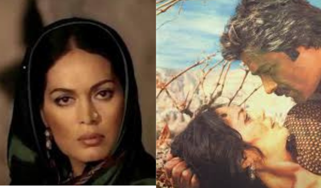 Dila Hanım Filmi Hakkında Merak Edilen Her Şey