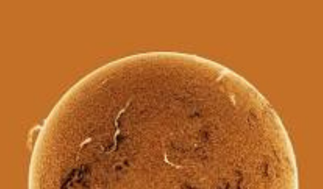 Güneş Atmosferinde En Fazla Bulunan Gaz Hangisidir?