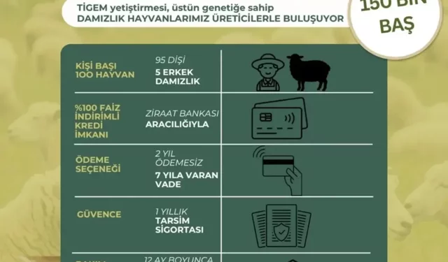 Kırsalda Bereket Küçükbaşa Destek Projesi Başlıyor