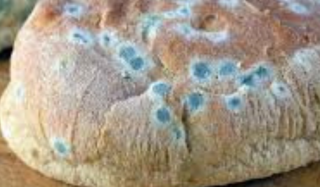 Küflü Yiyecekler Zararlı mı? Neden Zararlıdır?