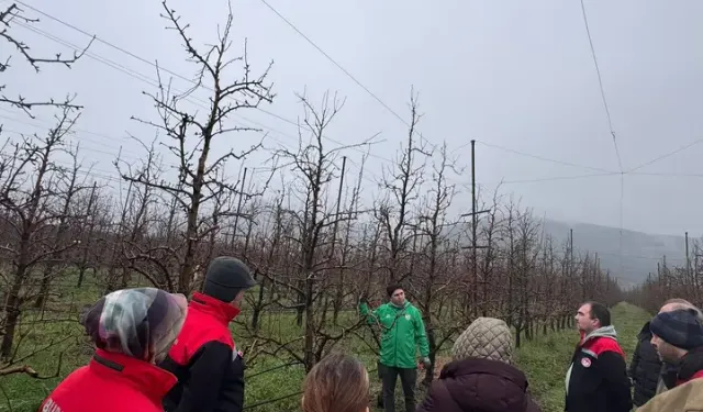 Serme'de Armut Ağaçlarında Budama Eğitimi ve B-Reçete Sistemi Bilgilendirmesi