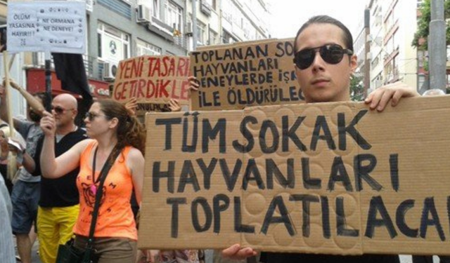 Kazım Gezer’den Sert Tepki: “Doğa Koruma Neyi Koruyor?”