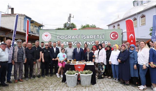 Bursa'nın tescilli lezzetinde hasat zamanı