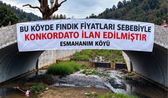 Düzce Akçakoca'da üreticinin fındık fiyatı tepkisi