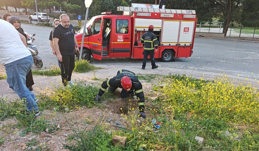 Bursa İnegöl’de Çukura Düşen Kuzu İtfaiye Ekiplerince Kurtarıldı
