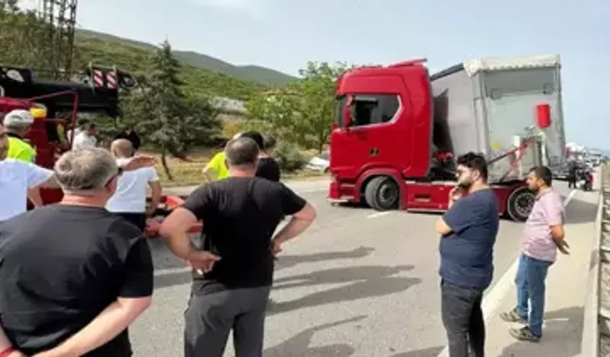 Bursa'da TIR Sürücüsünü Arı Soktu, Trafik Felç Oldu