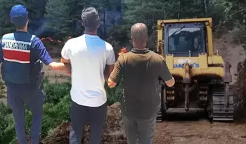 Kahramanmaraş'ta Şaka Felakete Yol Açtı: 92 Hektarlık Orman Yandı, 10 Yıla Kadar Hapsi İsteniyor