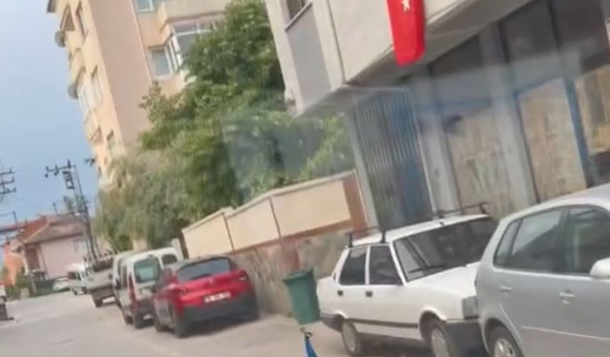 Bursa’da Sokakta Gezen Tavus Kuşu Sürücülere İlginç Anlar Yaşattı