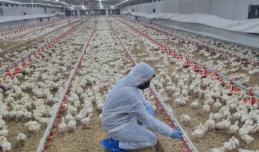 Keskinoğlu, Dünya Çiftçiler Günü’nü Kutluyor
