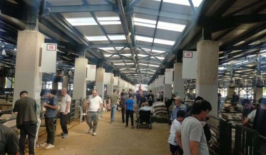 Bursa’da Kurbanlık Pazarlığında Sıkı Pazarlık: Fiyatlar Son Anda Belirlendi