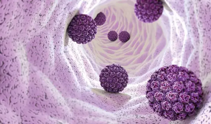 Her 2 Erkekten 1’i HPV Virüsüyle Tanışıyor: HPV Sanılandan Daha Tehlikeli