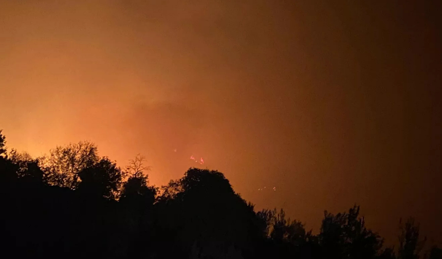 Alanya'da Orman Yangını! Alevler Yerleşim Yerlerine Yaklaşıyor