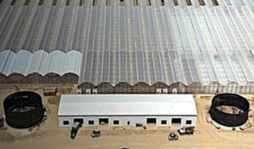 Kozanlar Jeotermal’in Kazakistan’daki Sera Projesinin Isıtma Altyapısı Mimsan’a Emanet