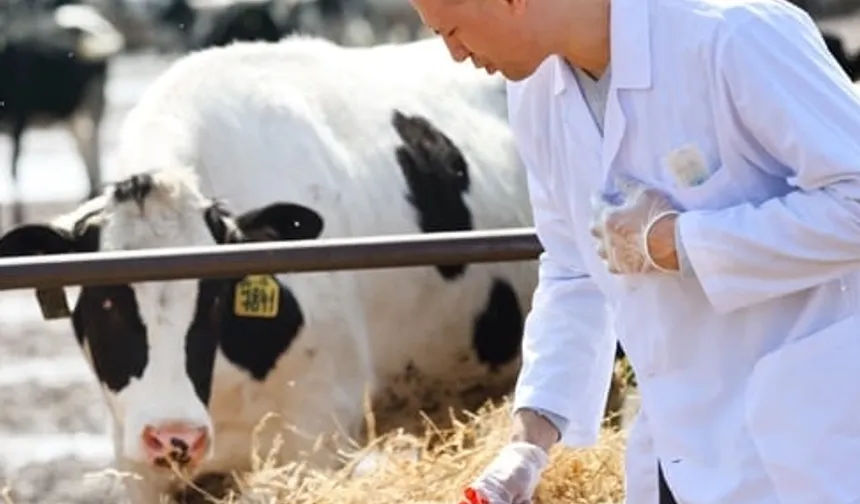 Tarımsal girdiler yüzde 33,66 arttı... Veteriner harcamaları yine zirvede!
