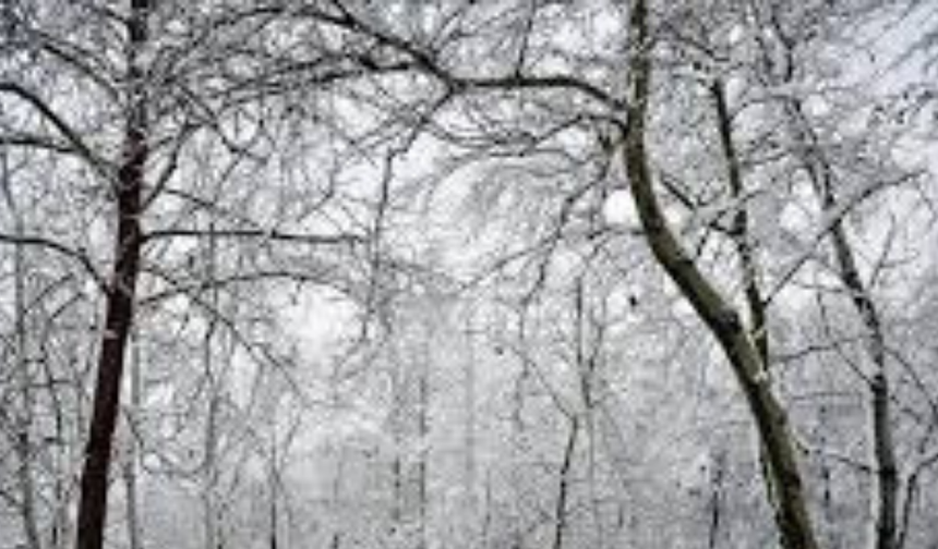 Yarın Okullar Tatil mi? 31 Aralık 2025 İçin Bursa'da ve İstanbul'da  Kar Tatili Açıklaması Geldi mi?