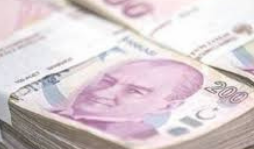 2025 Yılı Enflasyon Rakamları Açıklandı: Yıllık Enflasyon Yüzde 30,89 Oldu!