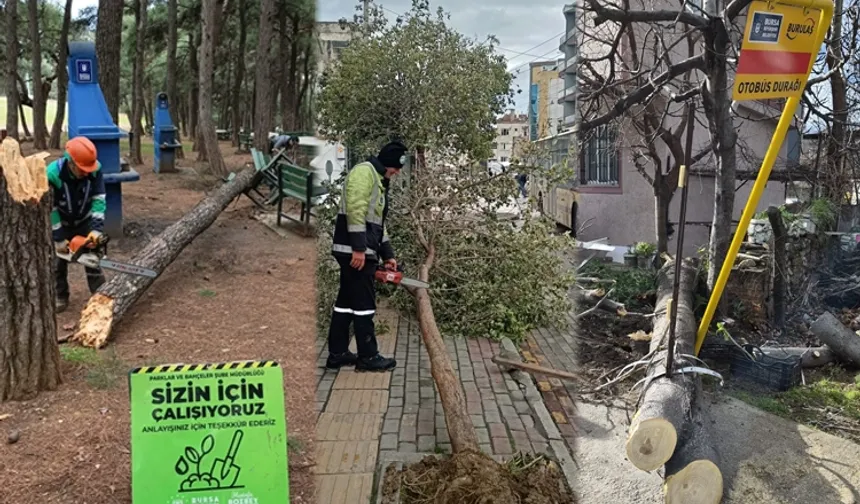 Lodos Bursa'yı vurdu! Büyükşehir sahada