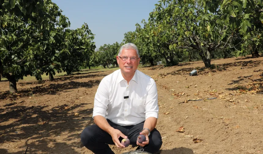 Mudanya Belediyesi'nden taşınmaz açıklaması: Satışa çıkan alanlar köy arazisi değil