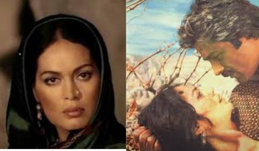 Dila Hanım Filmi Hakkında Merak Edilen Her Şey