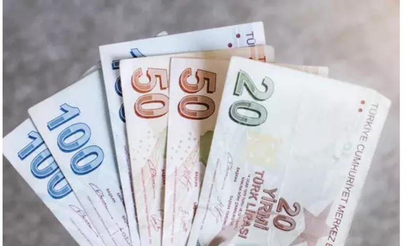 Vatandaşlık Maaşı  Ne Zaman Başlayacak? Kimlere Verilecek?