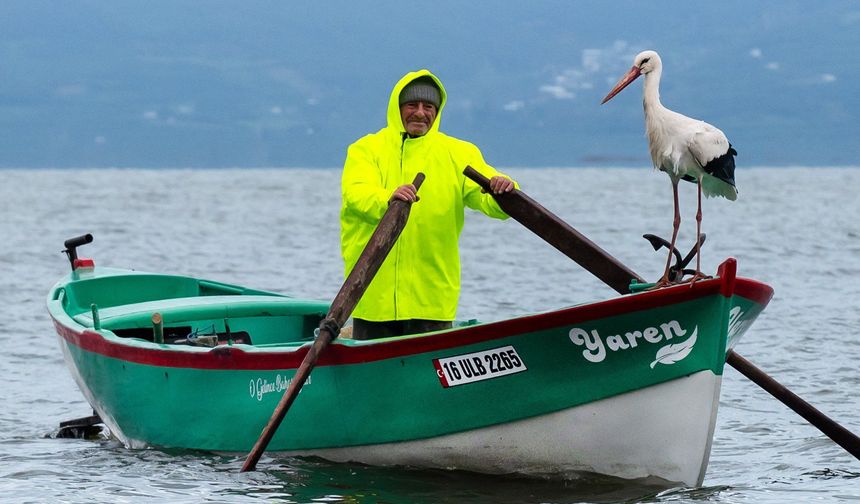 Yaren Leylek, Adem Amca'nın Kayığına Kondu: Vefa ve Dostluğun Simgesi Bursa'da