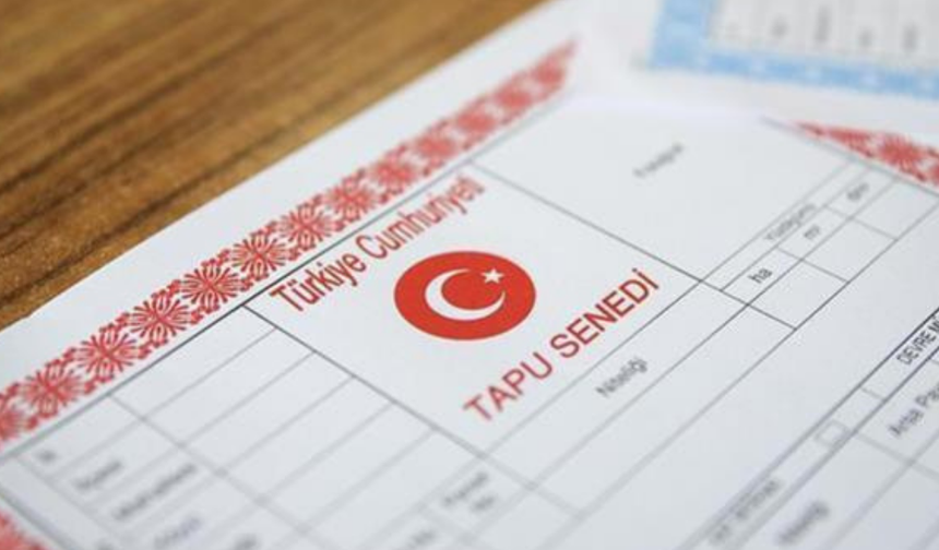 Devlet “Orman Şerhi”ni Siliyor: Tapulara Yeşil Işık