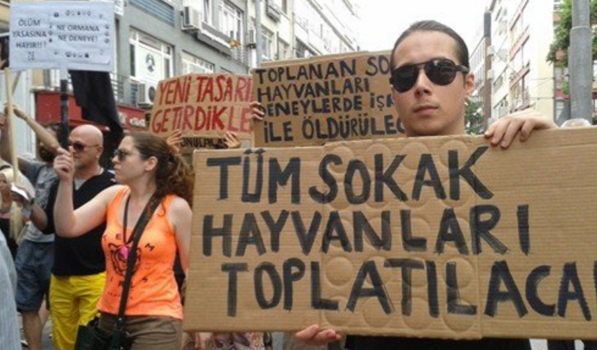 Kazım Gezer’den Sert Tepki: “Doğa Koruma Neyi Koruyor?”