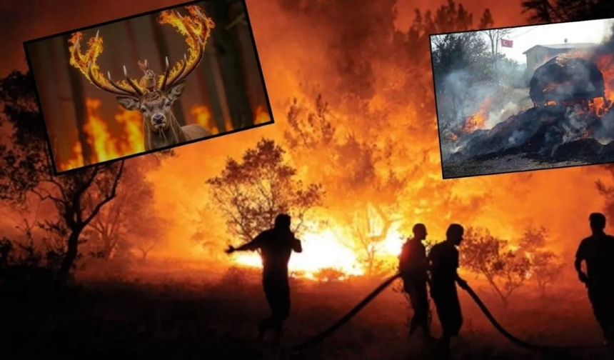 “Yeşil Vatan Alarm Veriyor!” – Ormancılık Haftası’nda Sert Uyarı: “Liyakat Yoksa Orman da Yok!”