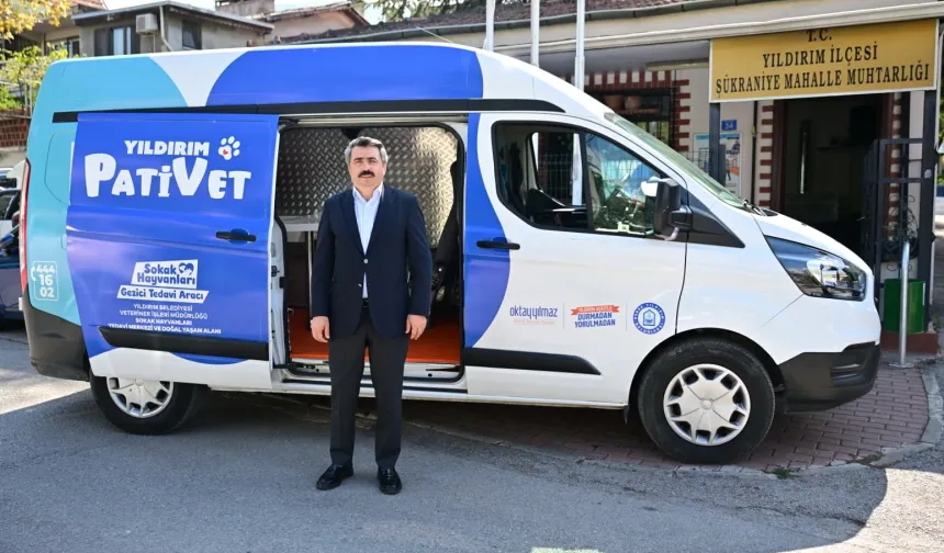 Bursa Yıldırım'da sahispsiz sokak hayvanlarına 'Pativet' şefkati