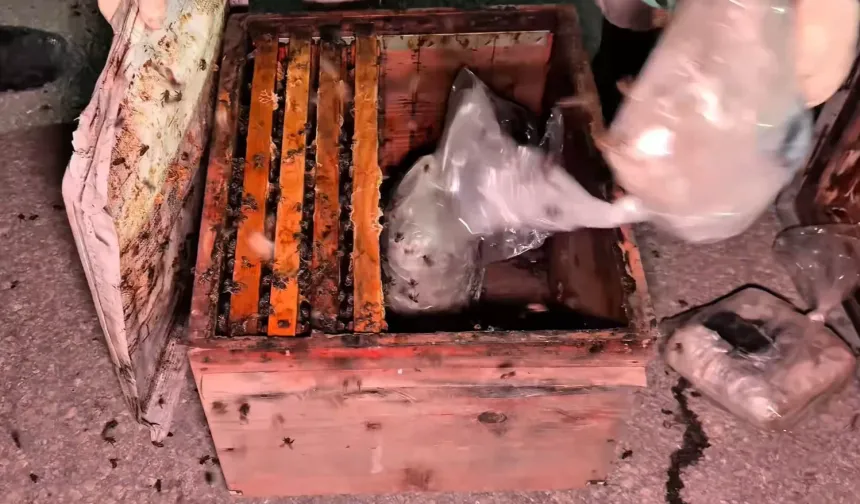 Arı kovanlarının arasından 91 kilo uyuşturucu çıktı